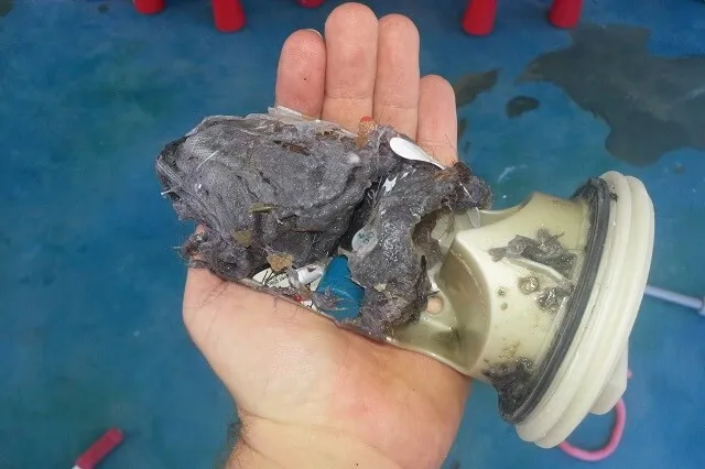 засор сливного фильтра стиральной машины Bosch засор сливного фильтра стиральной машины Bosch